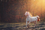 White Horse EI016000