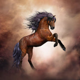 Rearing Horse EI016001