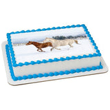 Winter Horses EI016003
