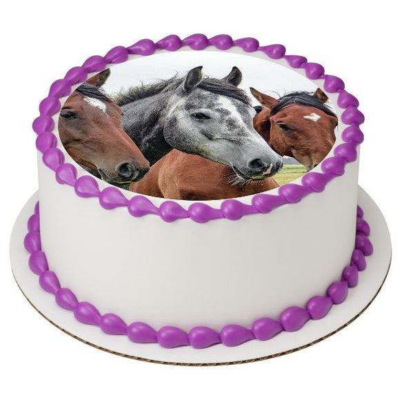 Old Grey Mare Horse EI016005