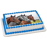 Old Grey Mare Horse EI016005