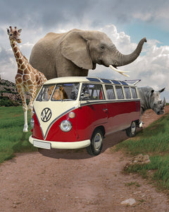 Jungle Safari EI016008