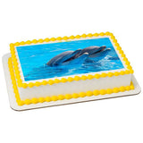 Playful Dolphins EI016009