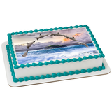 Dolphin Arch EI016011