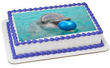 Dolphin with Ball EI016012