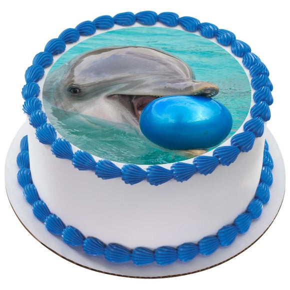 Dolphin with Ball EI016012