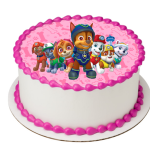 PAW Patrol™ Pink EIO17020-pink