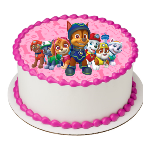 PAW Patrol™ Pink EIO17020-pink