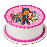 PAW Patrol™ Pink EIO17020-pink