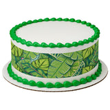 Polynesian Flair PhotoCake® Edible Image® Strips EIC22542
