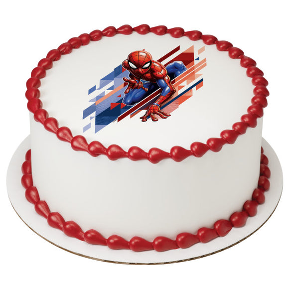 Marvel's Spider-Man™ Great Responsibility EIC24191