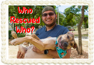Rescue Dog Dad (For 9" x 13" cake)