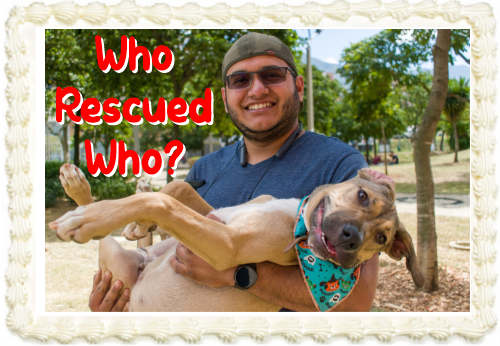 Rescue Dog Dad (For 9